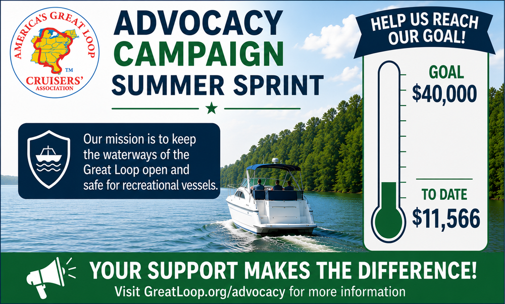 Advocacy Sprint Campaign Progress Graphic