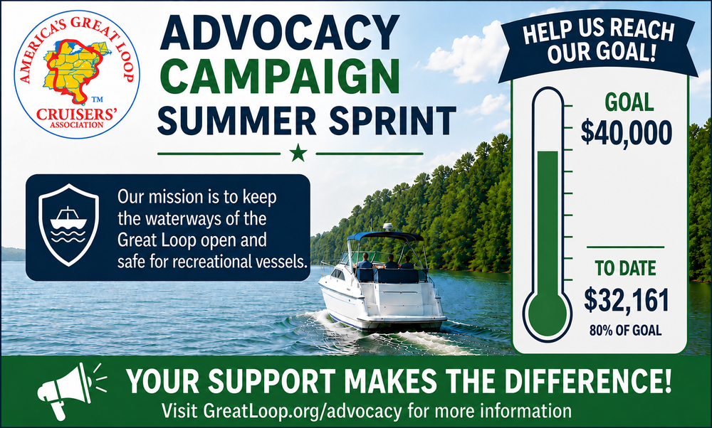 Advocacy Sprint Campaign Progress Graphic
