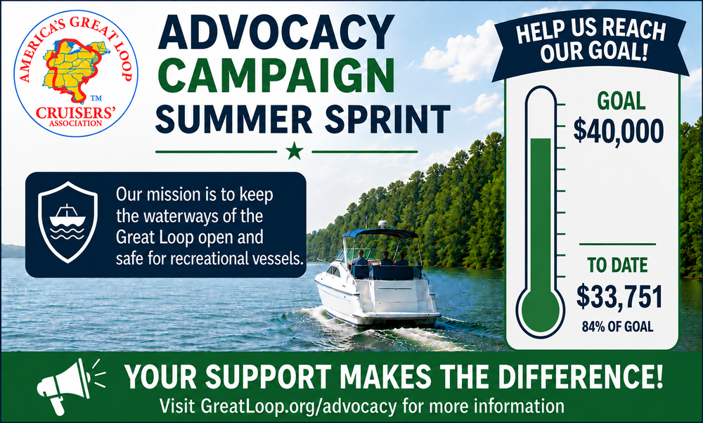 Advocacy Sprint Campaign Progress Graphic