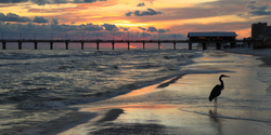Orange Beach AL Sunset and Pier Reduced.png