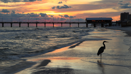 Orange Beach AL Sunset and Pier Reduced.png