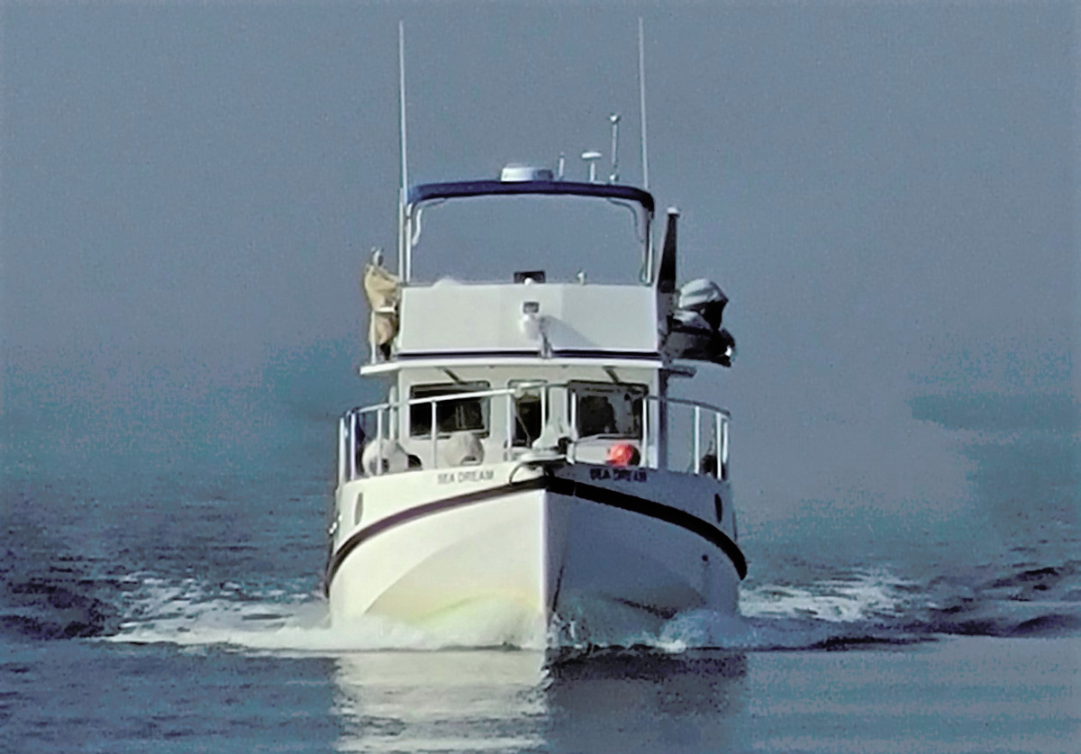 Bow-View-E2FC4.jpg