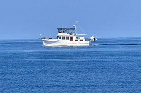 Image of 1983 Marine Trader 44 DC