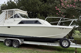 Image of 1985 Chris-Craft 25'  