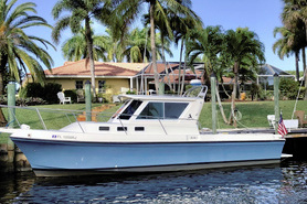 Image of 28 ft Albin  1996 28 Tournament Express  