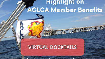 Member Benefits Virtual Docktails.png
