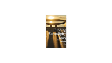 Book Cover for Finding Serendipity