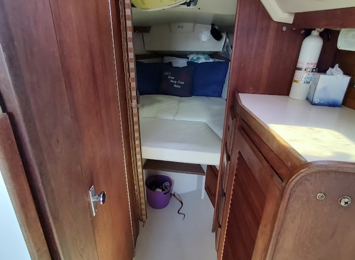 IMG_20250207_115006262_HDR.jpg