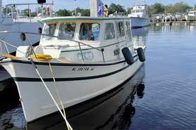 Image of Loop on a Budget Rosborough 246 For Sale