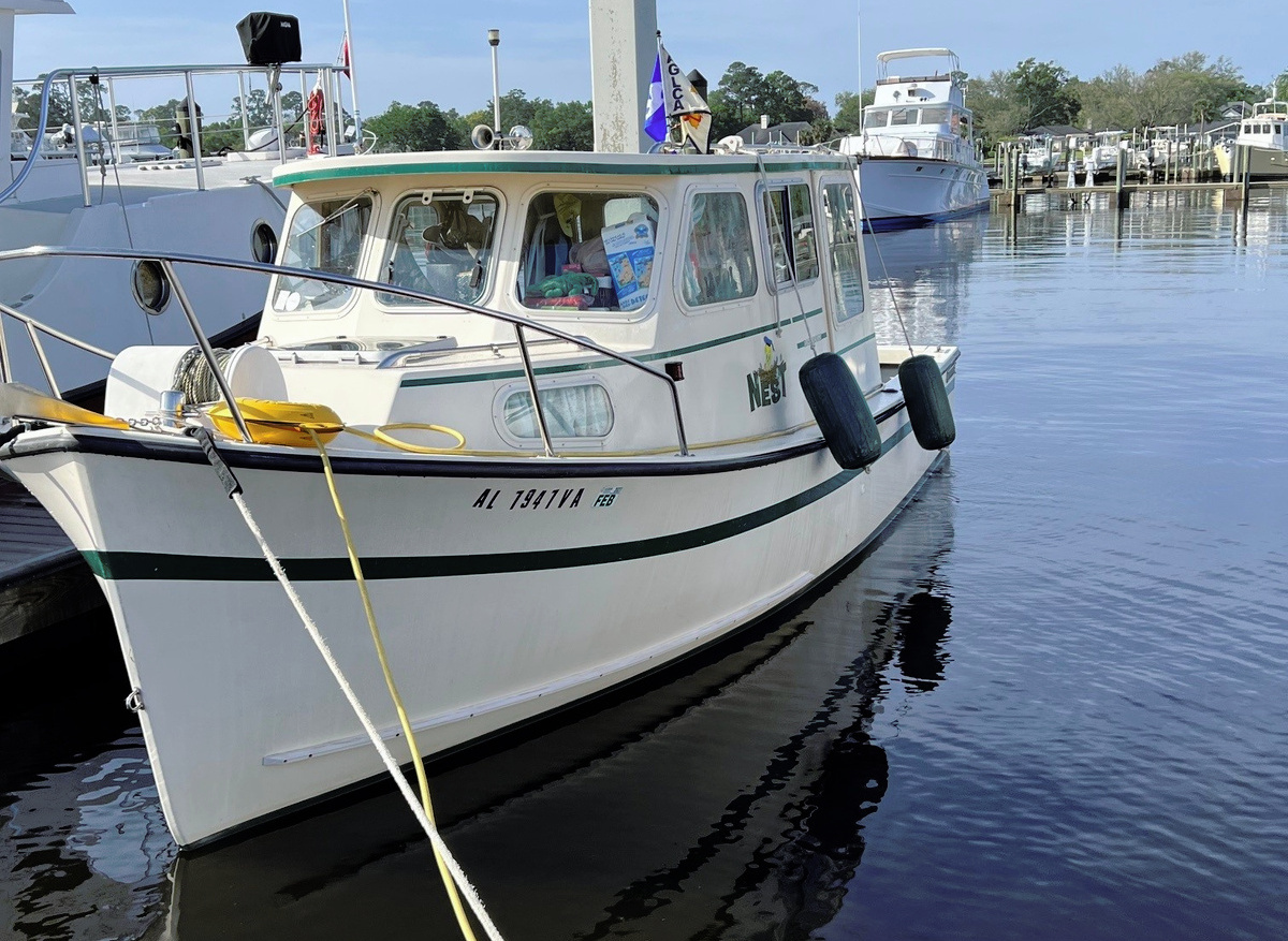 Image of Loop on a Budget Rosborough 246 For Sale