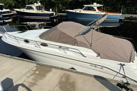 Image of 1999 SeaRay Sundancer 270 SE
