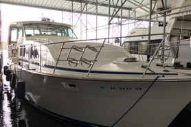 Image of Much beloved Bertram for sale