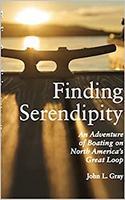 Book Cover for Finding Serendipity