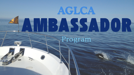 Ambassador eupdate graphic.png