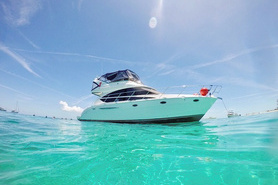 Image of 2009 Meridian 391