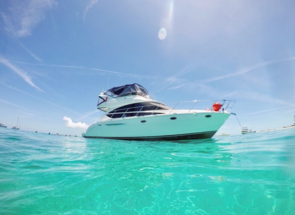 Image of 2009 Meridian 391