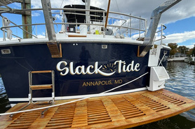 Image of Simpson Davits