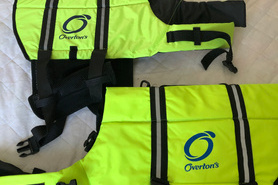 Image of Dog life vest