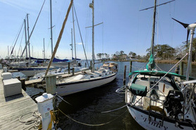 Image of 40' Irwin Citation 1981 