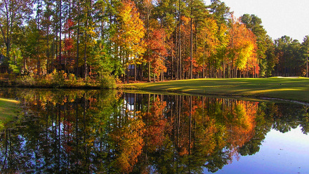 fall leaves over water and green.jpg