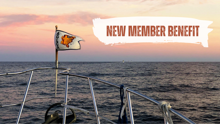 New Member Benefit article graphic.png