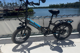 Image of Lectric EBikes