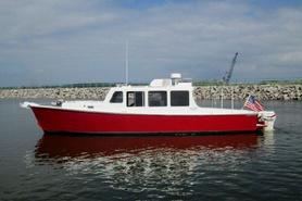 Image of  For Sale Trailerable Trawler
