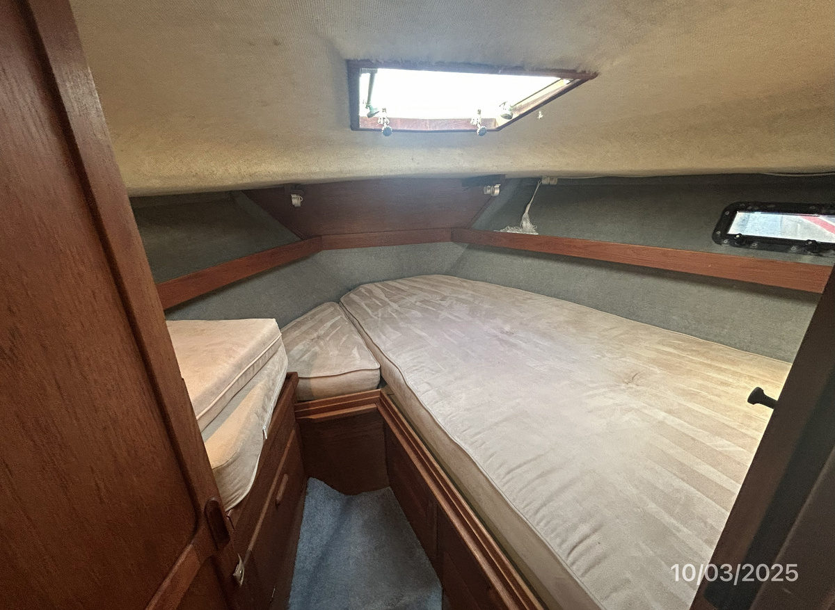 Penny-Wise-stateroom-hr1-10-3-25-FCE6D.jpg