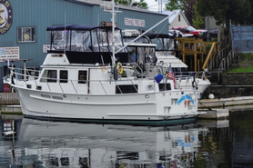 Image of Funky Monkey Hull #215 is for sale