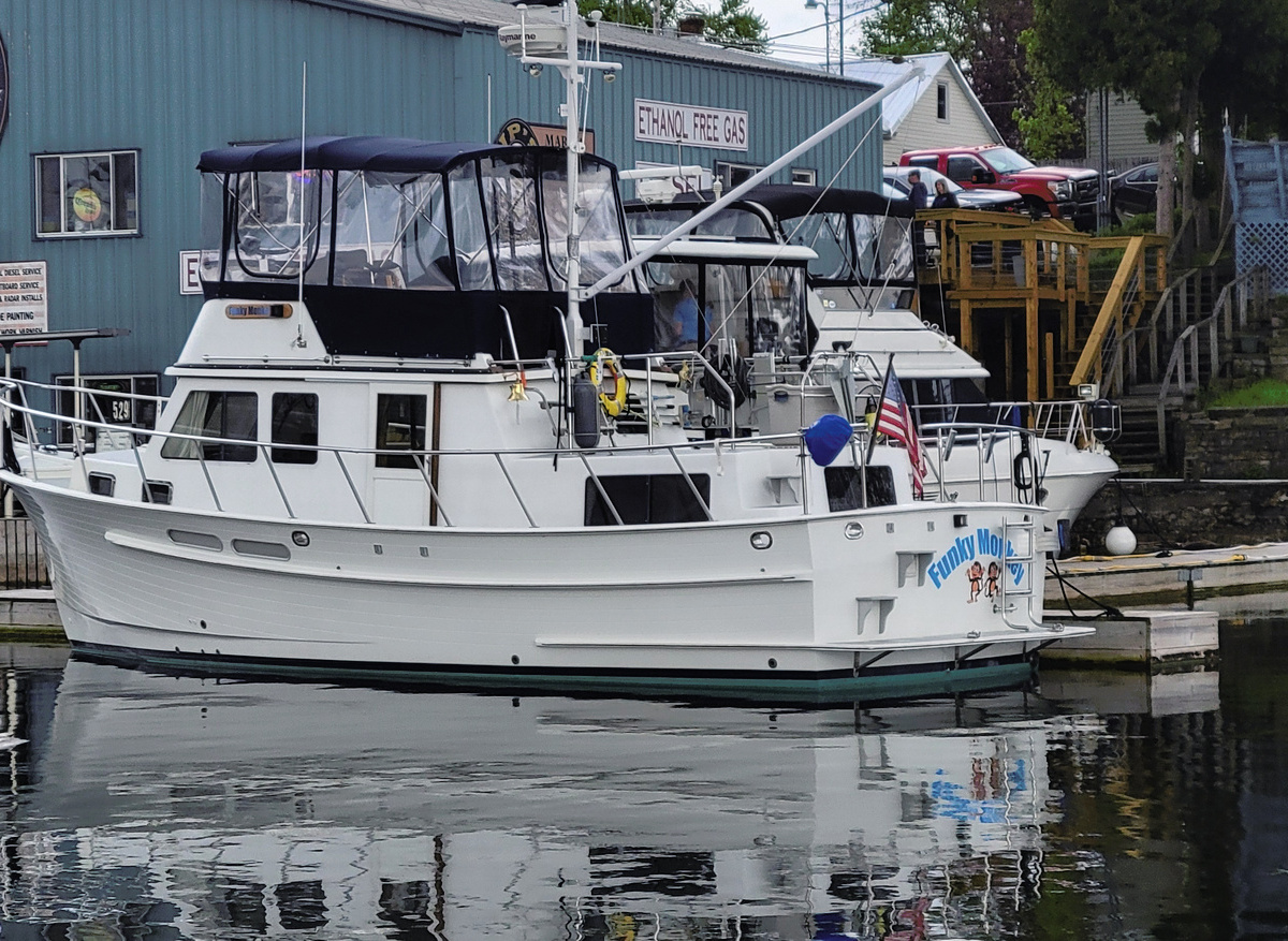 Image of Funky Monkey Hull #215 is for sale