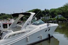 Image of 2008 Sea Ray 310 Sundancer