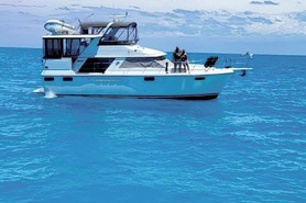 Image of 42' Carver / 1988 Carver 4207 Twin Diesel - $99,900 (Traverse City)