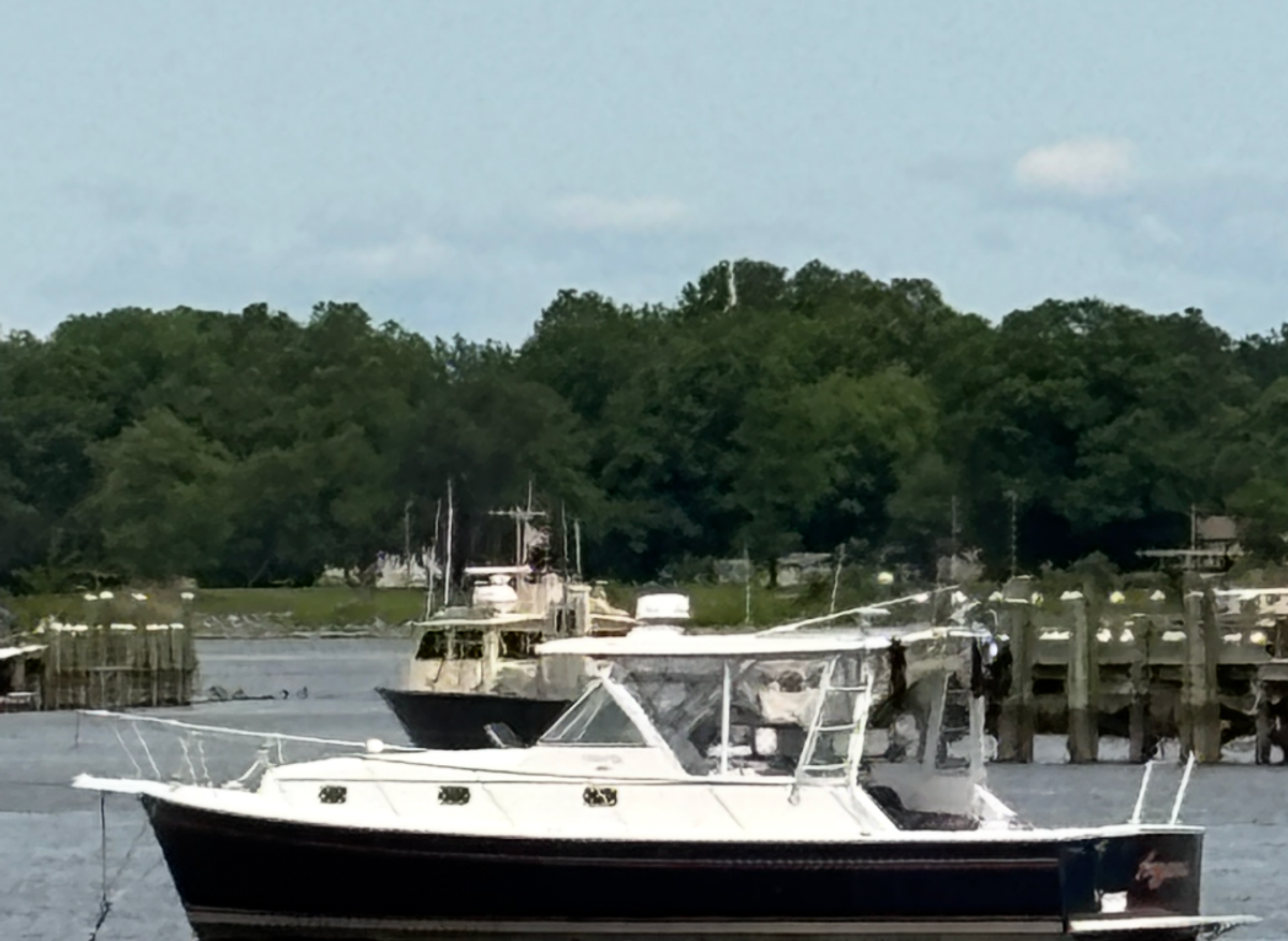 Image of Loop boat for sale