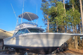 Image of 1992 Sea Ray 31'  